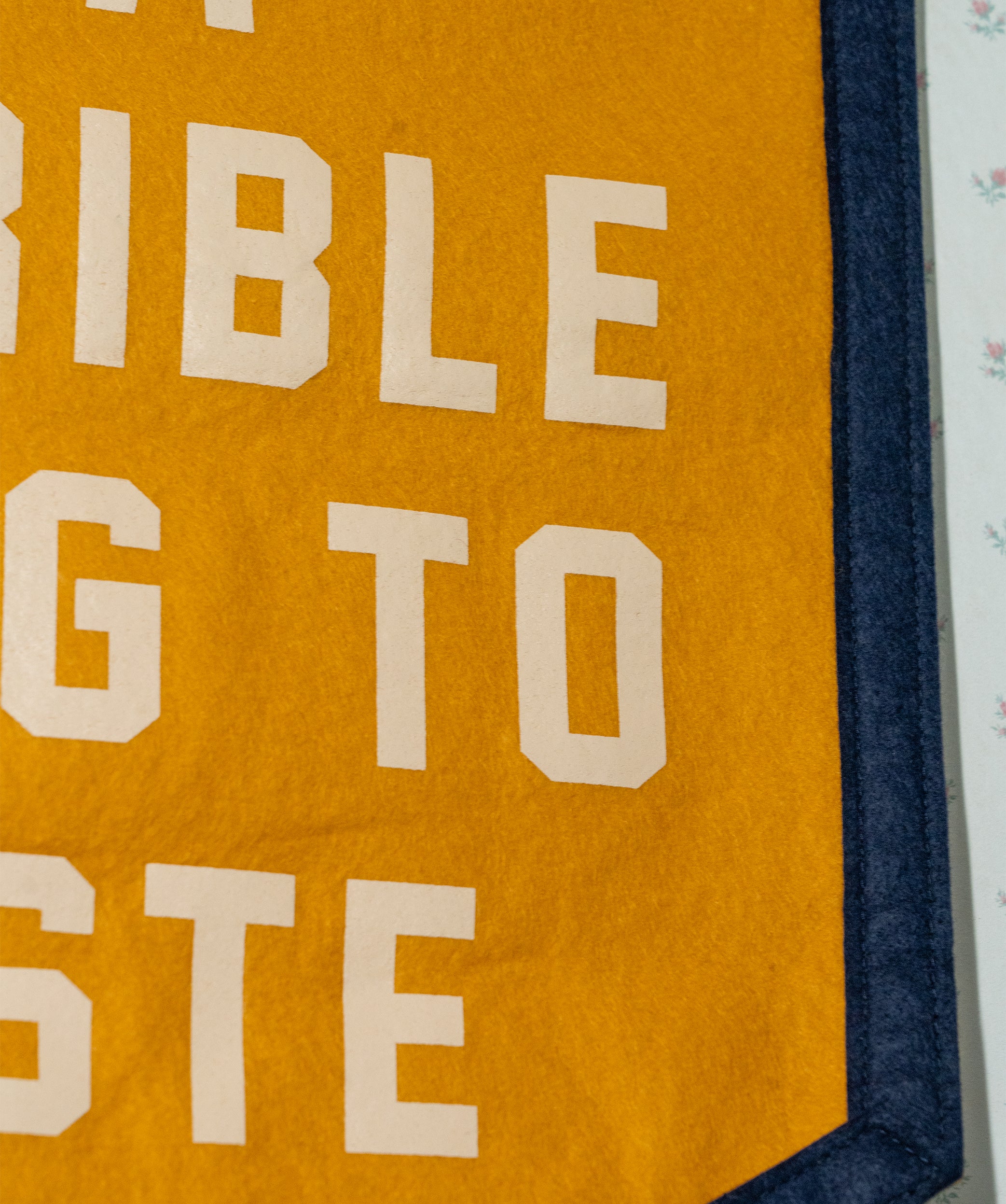 Adversity Is A Terrible Thing To Waste Camp Flag • Unreasonable Hospitality x Oxford Pennant - Image 5