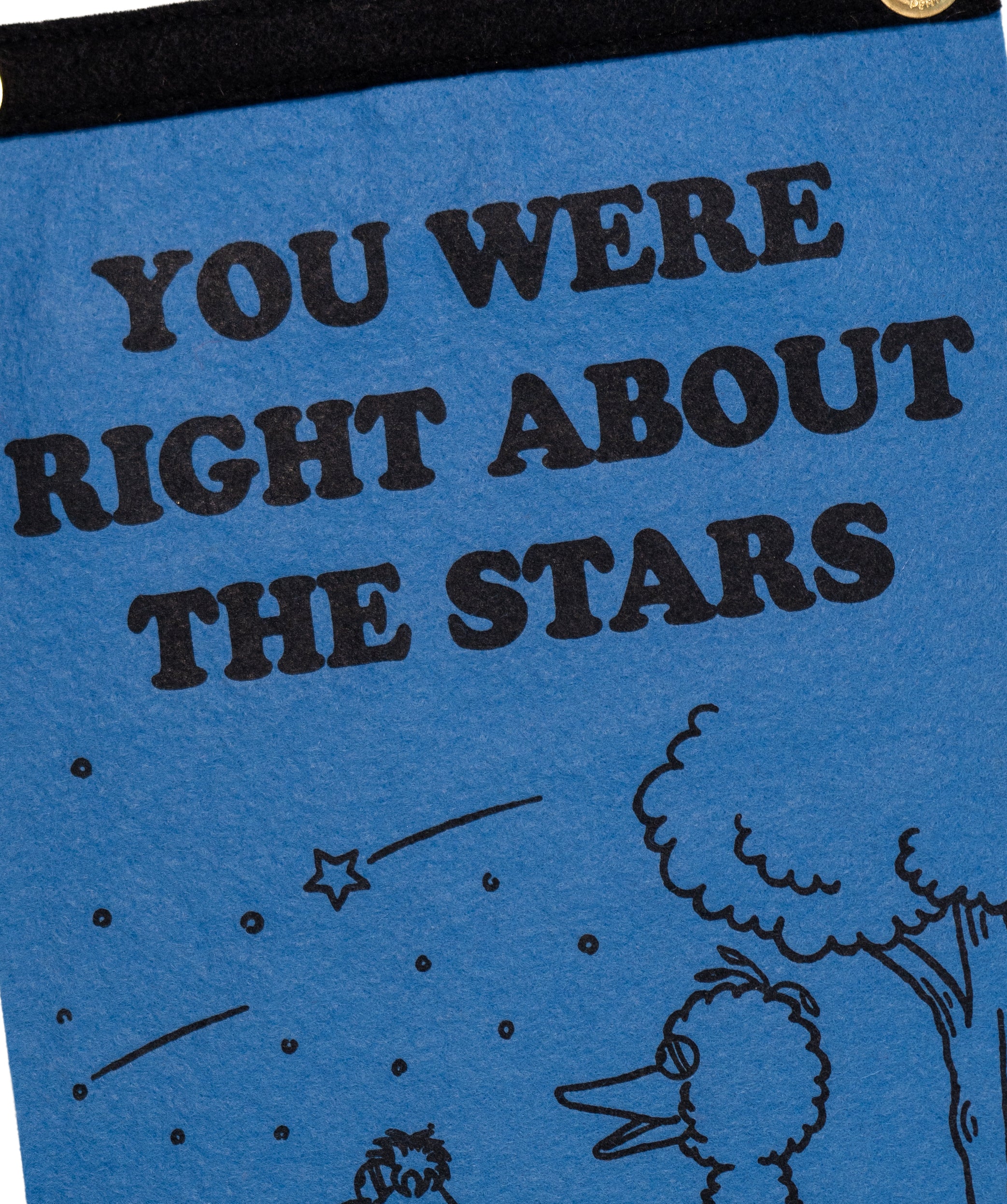 PRESALE: You Were Right About The Stars Scout Flag • Wilco x Sesame Street x Oxford Pennant - Image 4